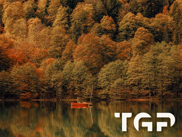 FRT018 model sticlă printată