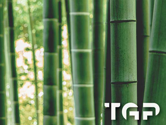 FRT020 model sticlă printată