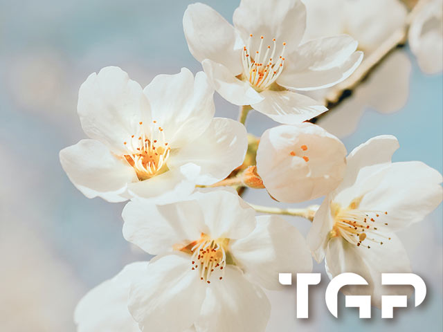 Flower Collection FLW031