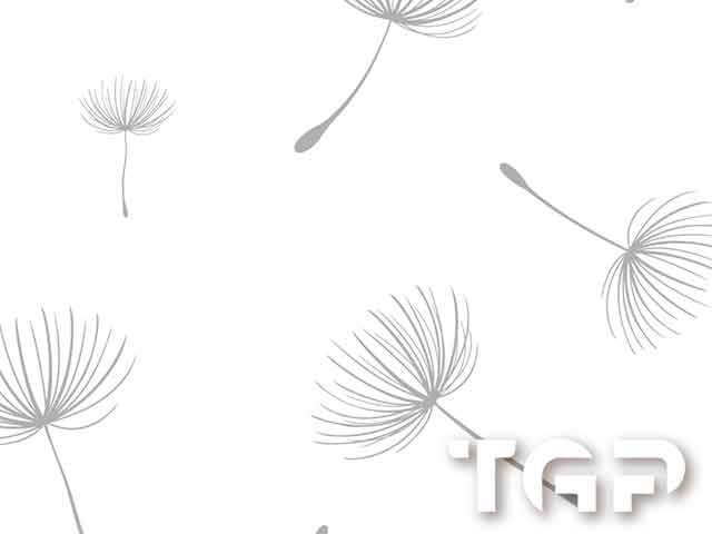 LEF007 model sticlă printată