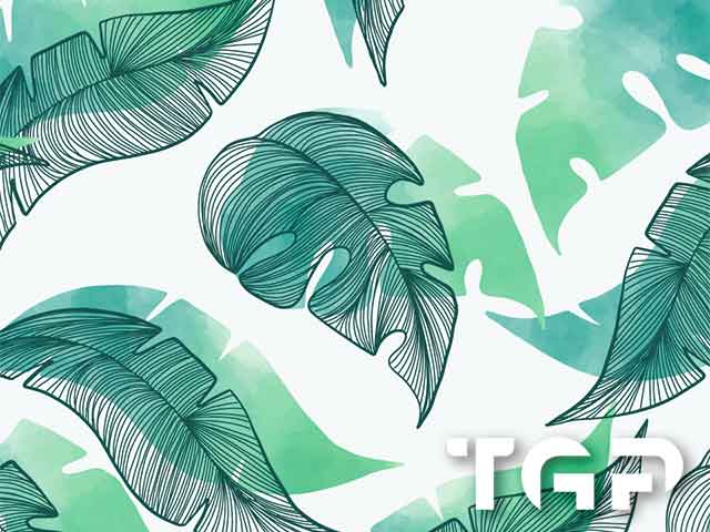 LEF011 model sticlă printată