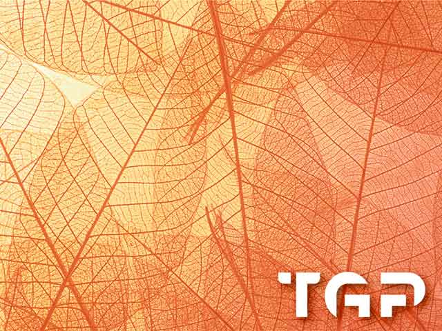 MCR002 model sticlă printată