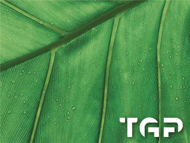 MCR003 model sticlă printată