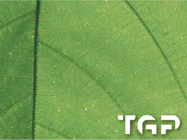 MCR004 model sticlă printată