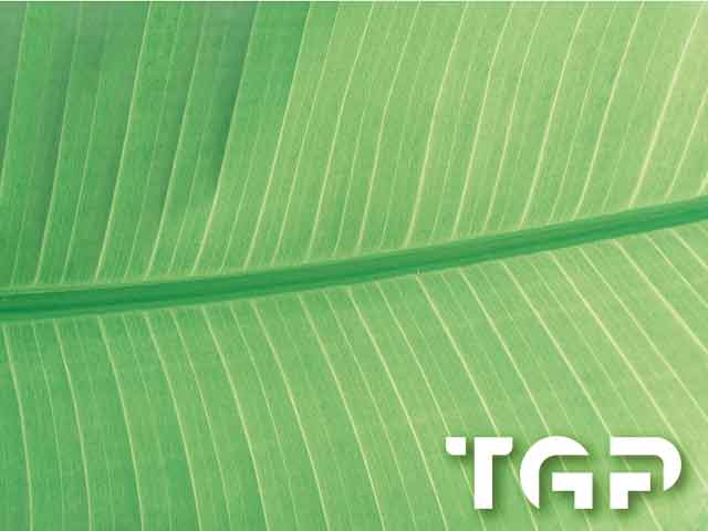 MCR005 model sticlă printată