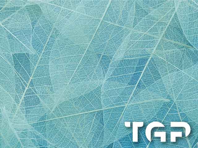 MCR006 model sticlă printată