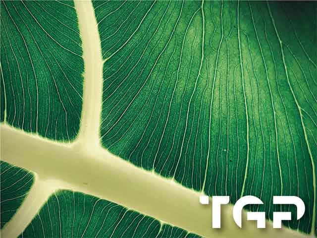 MCR007 model sticlă printată