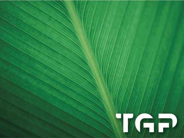 MCR008 model sticlă printată