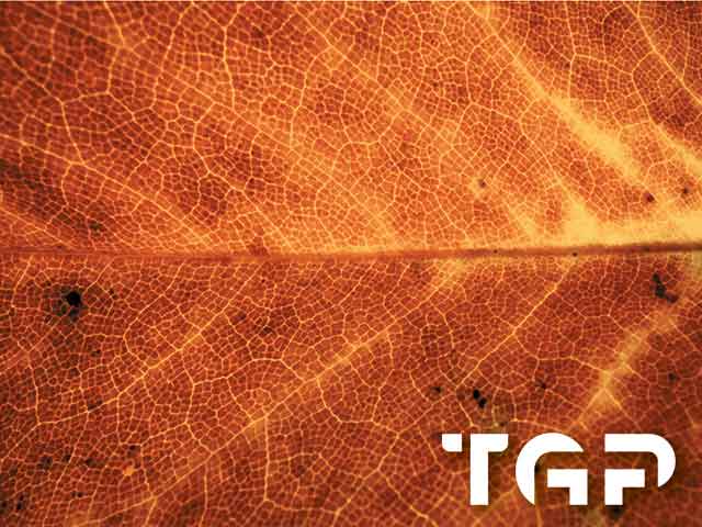 MCR009 model sticlă printată