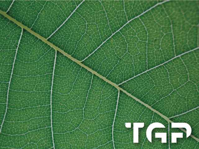 MCR010 model sticlă printată