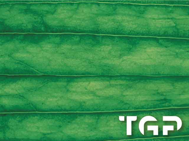 MCR011 model sticlă printată