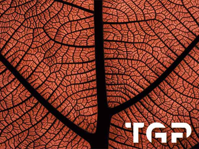 MCR012 model sticlă printată