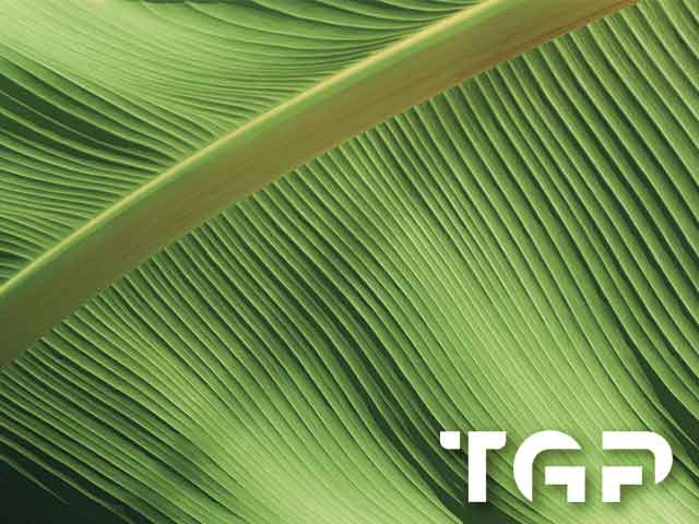 MCR015 model sticlă printată