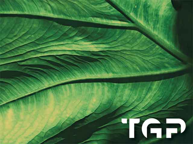 MCR016 model sticlă printată