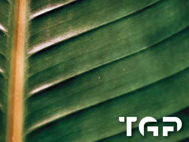 MCR017 model sticlă printată