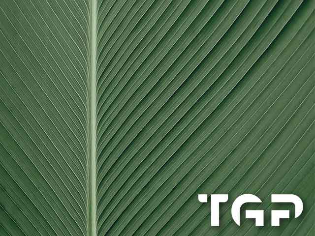 MCR018 model sticlă printată