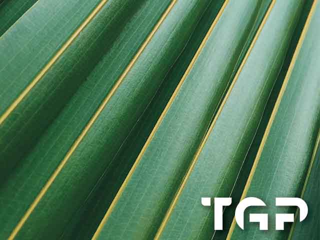 MCR019 model sticlă printată