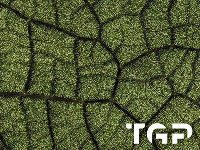 MCR020 model sticlă printată