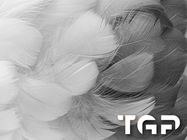 MCR021 model sticlă printată